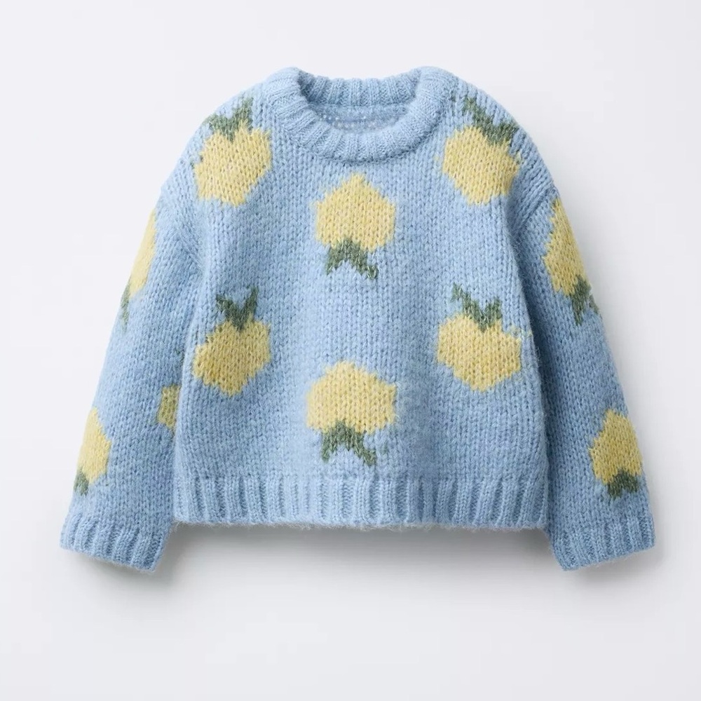 Zara FRUIT PRINT KNIT JUMPER